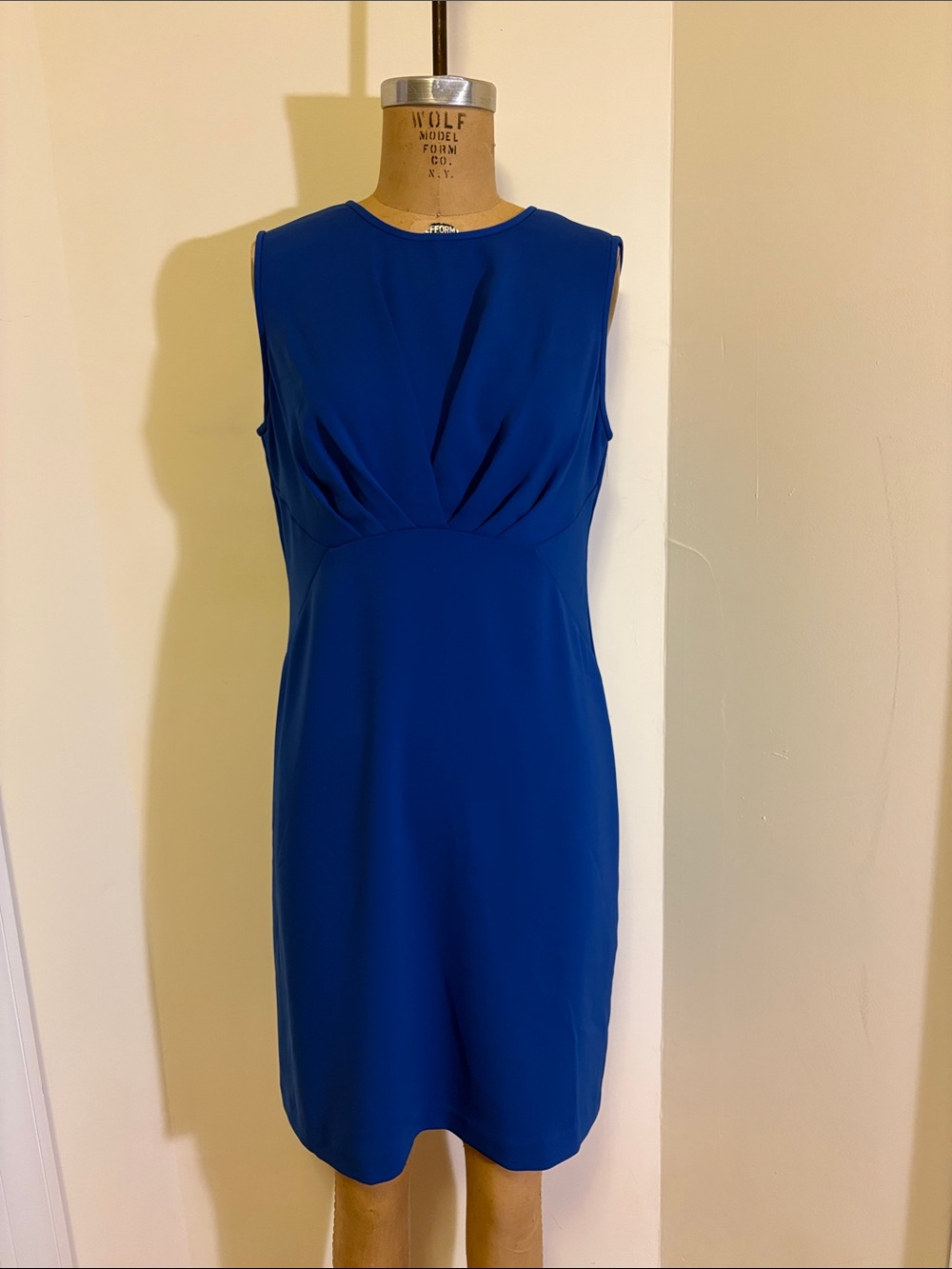 Elegant Sleeveless Royal Blue Sheath Dress
